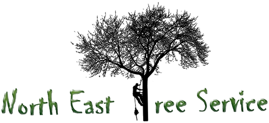 North East Tree Service
